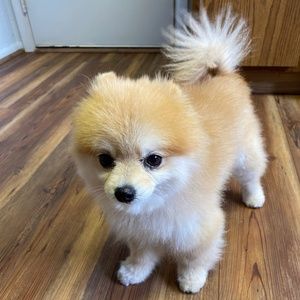 Meet your Posher, Kelly